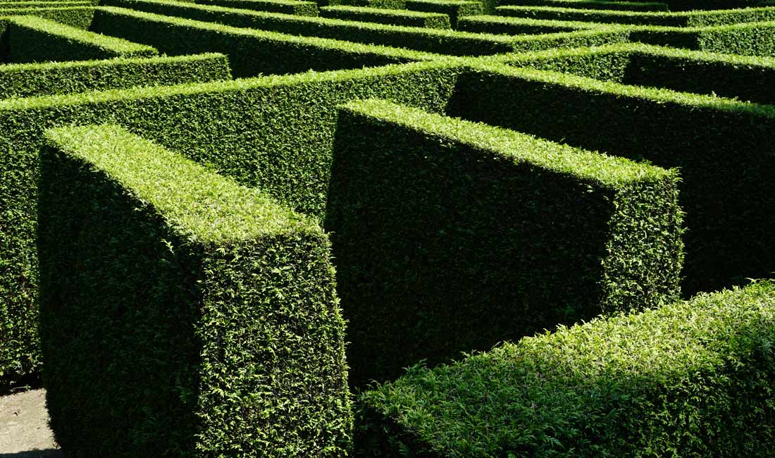 Hedges