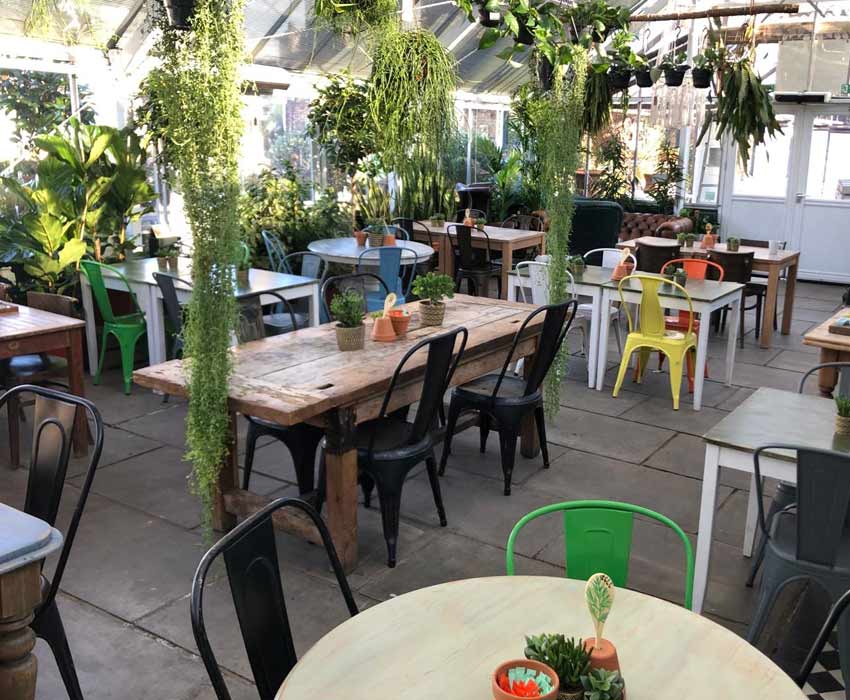 Cafe and Garden Centre in London