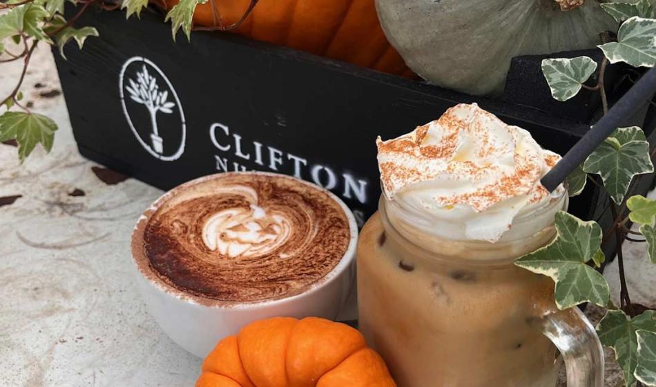 Spooky Fun Awaits at Clifton Nurseries This Halloween!